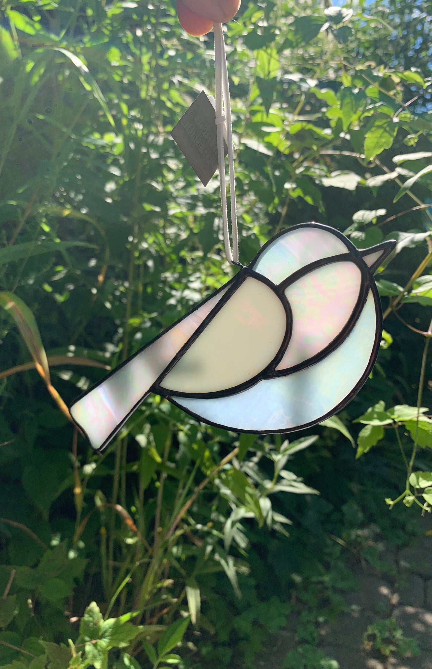 Colorful Bird Friend • Iridescent Whites