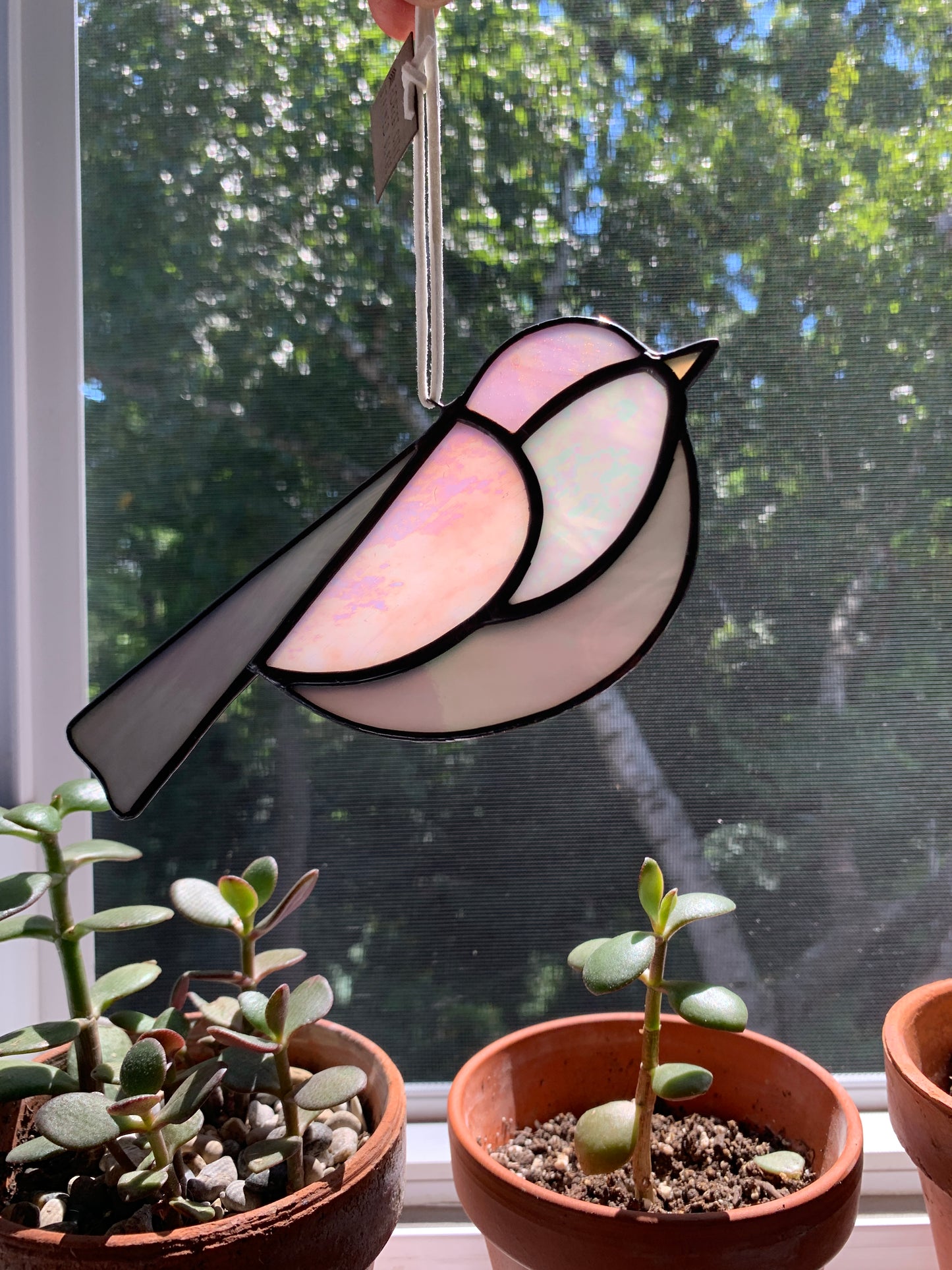 Colorful Bird Friend • Iridescent Grey, Pink, Pearl