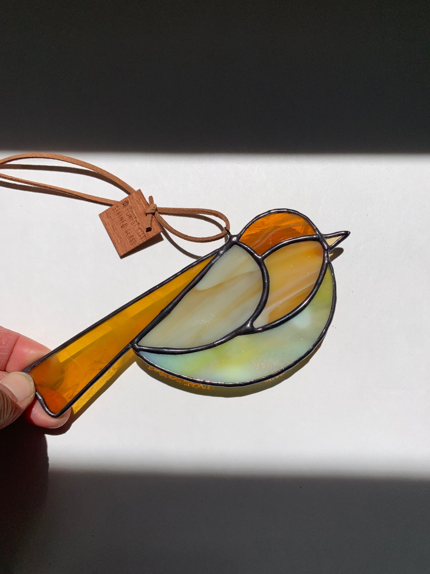 Colorful Bird Friend XIX