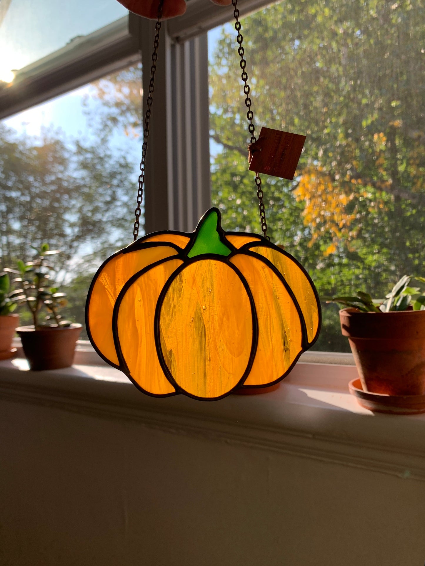 MADE TO ORDER • Pumpkin