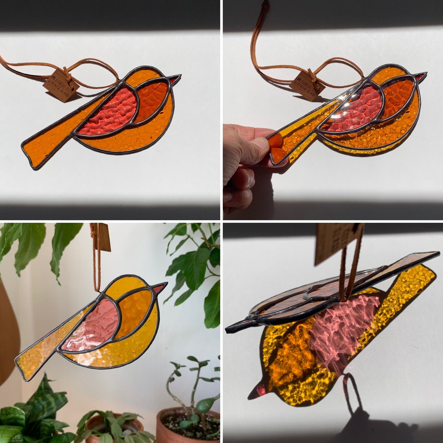 Colorful Bird Friend • Amber + Hot Pink