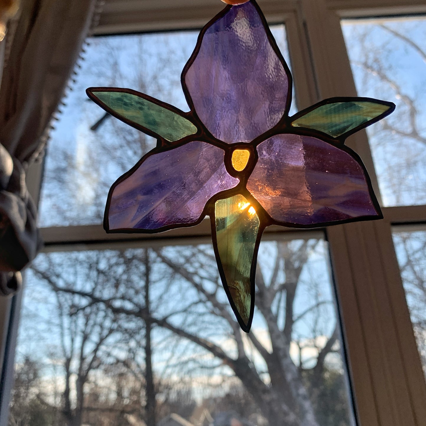 Trillium Wildflower • Wispy Lavender/Yellow