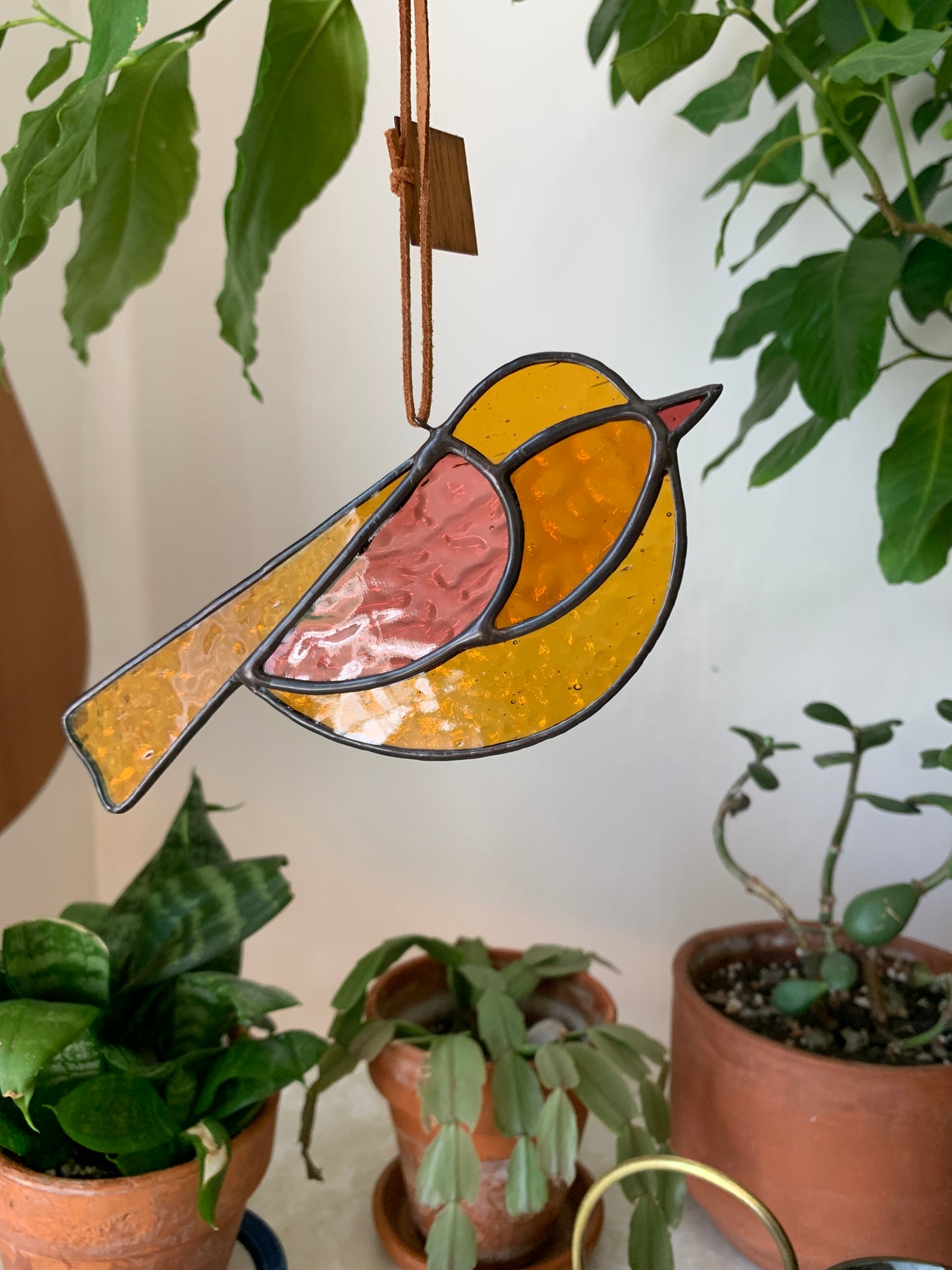Colorful Bird Friend • Amber + Hot Pink
