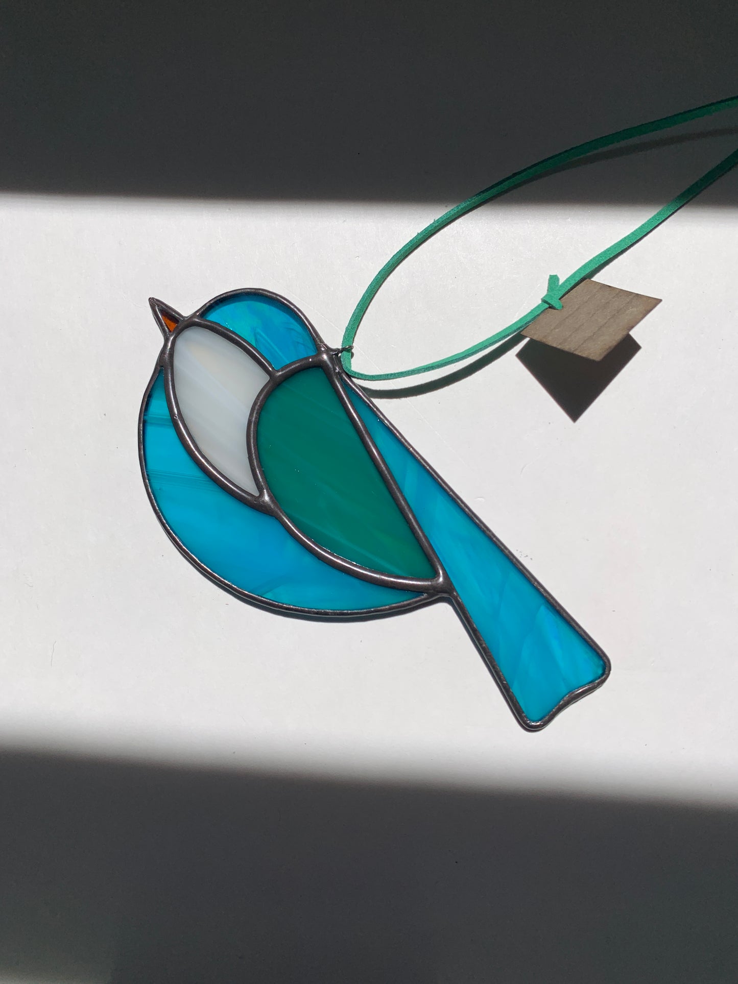 Colorful Bird Friend XVIII • Iridescent