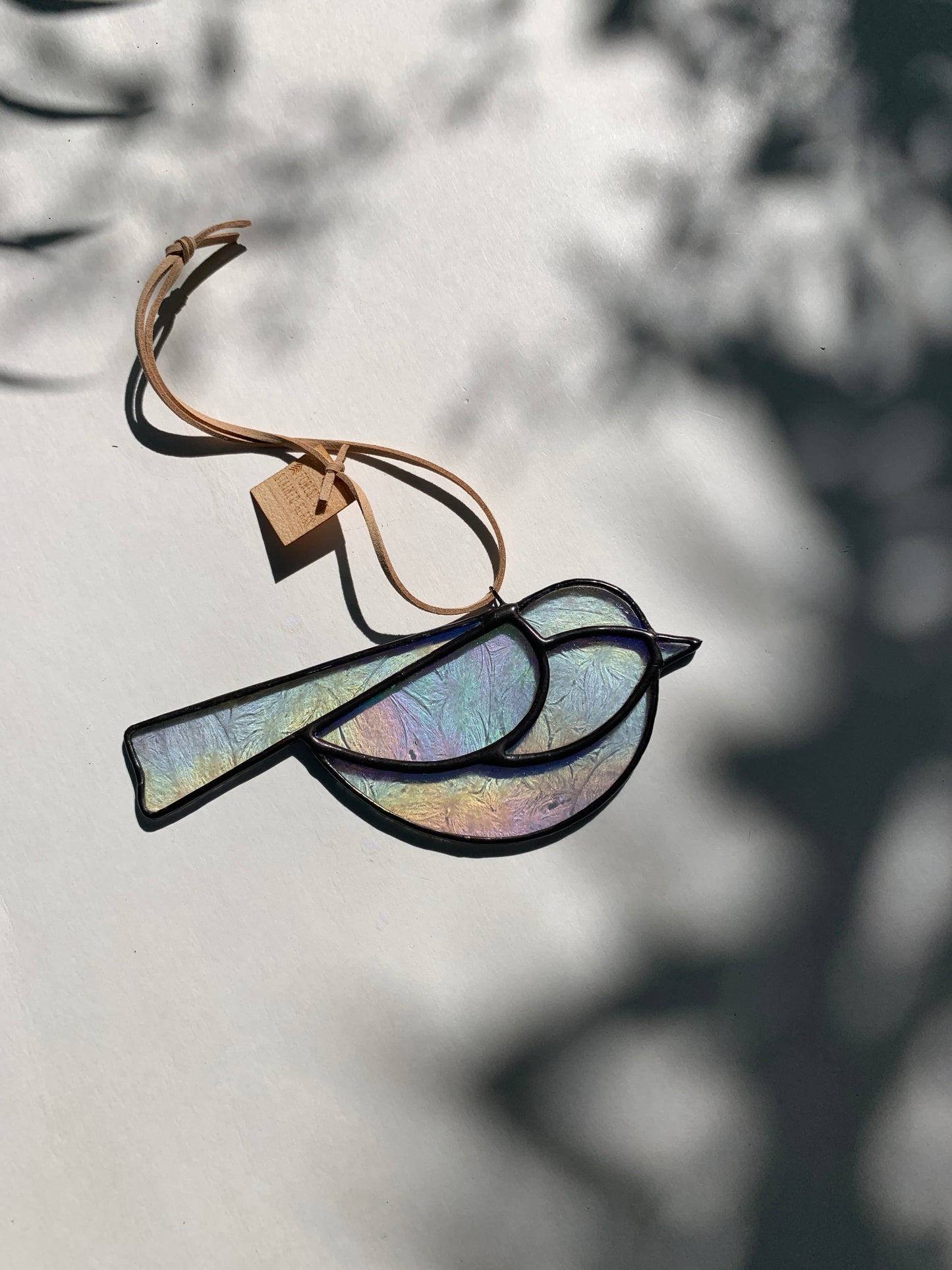 Colorful Bird Friend • Iridescent Etched Clear