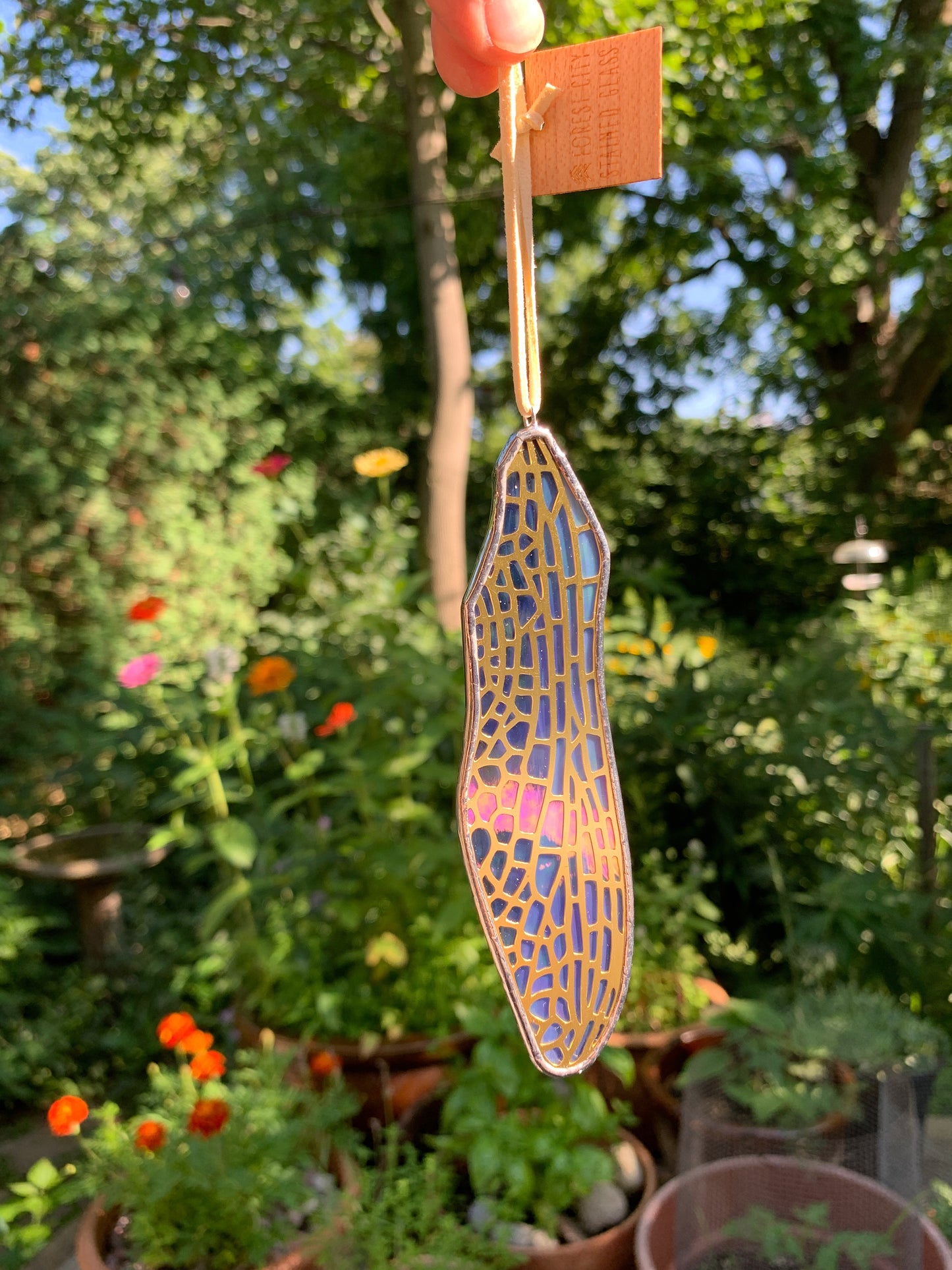 Dragonfly Forewing • Iridescent Wispy Lavender