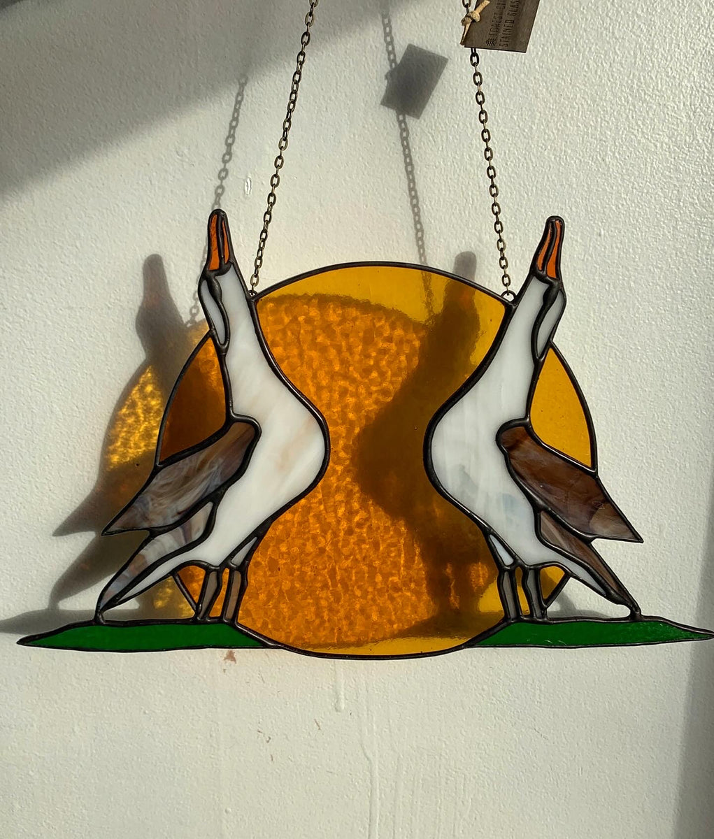 Albatross in a Courtship Dance Forest City Stained Glass