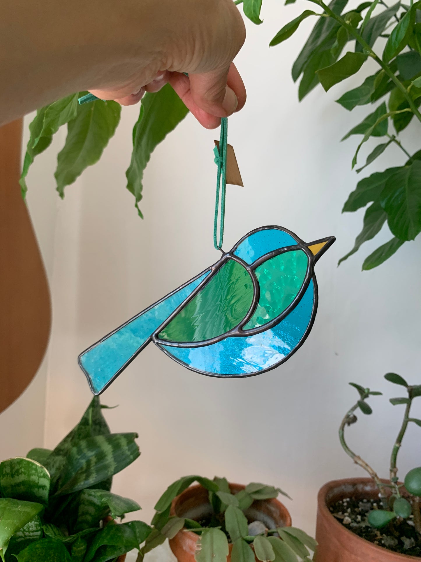 Colorful Bird Friend V