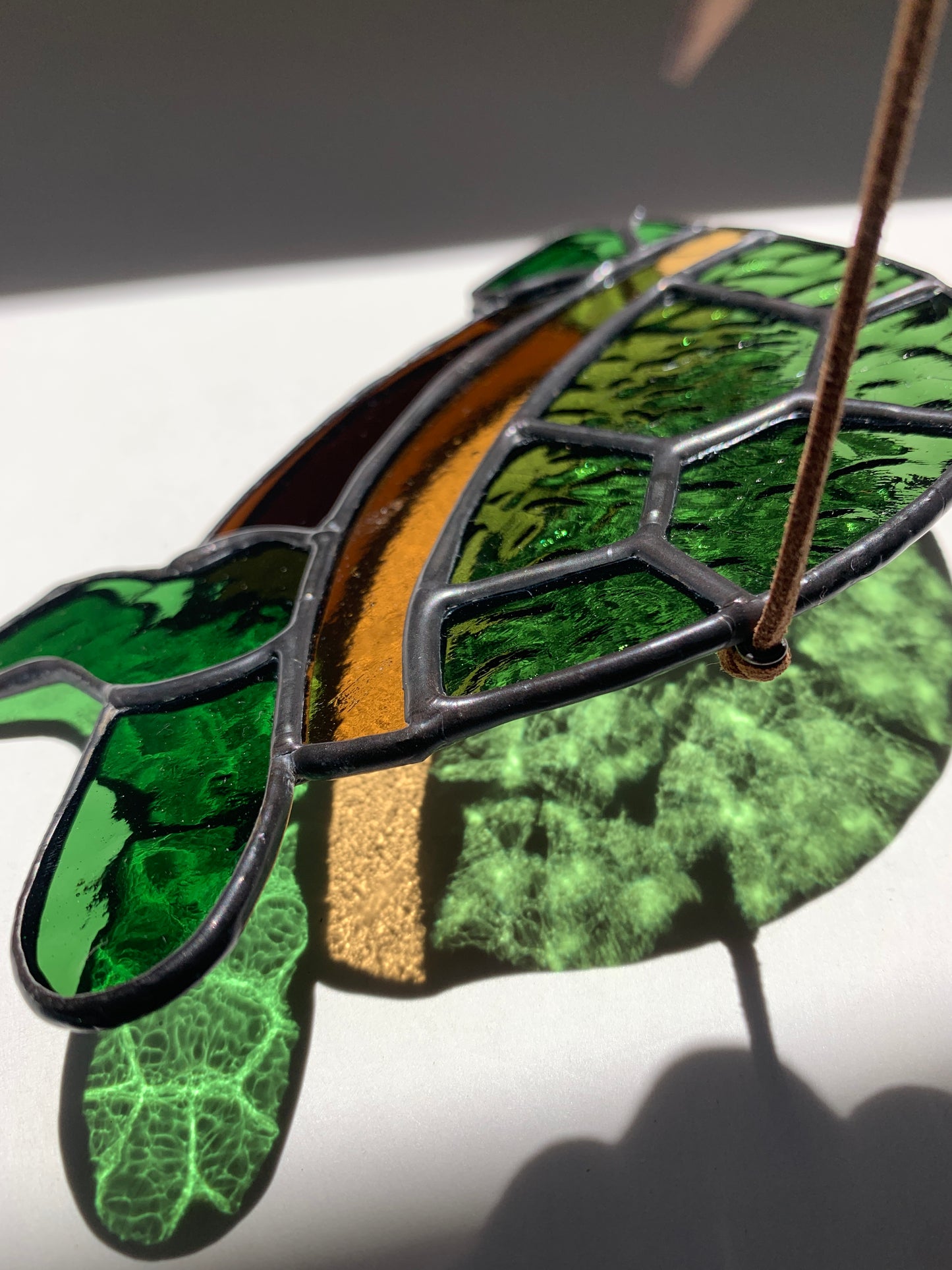 Turtle