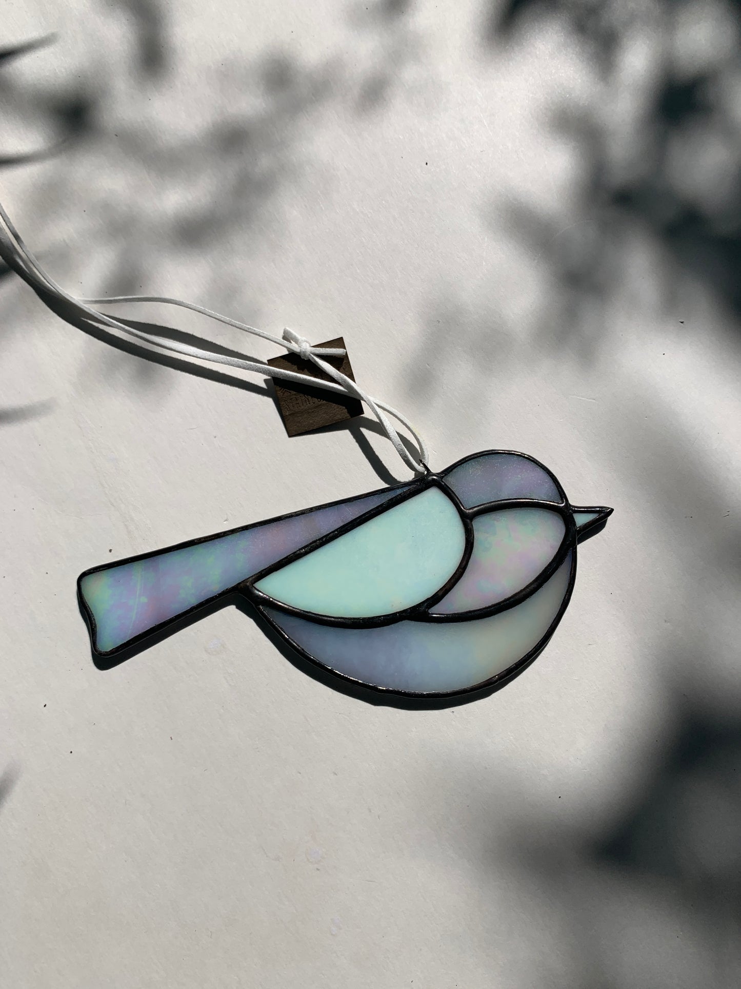Colorful Bird Friend • Iridescent Whites