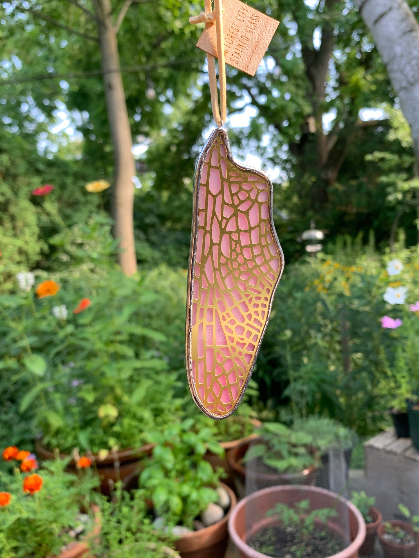 Dragonfly Hindwing • Iridescent Pink