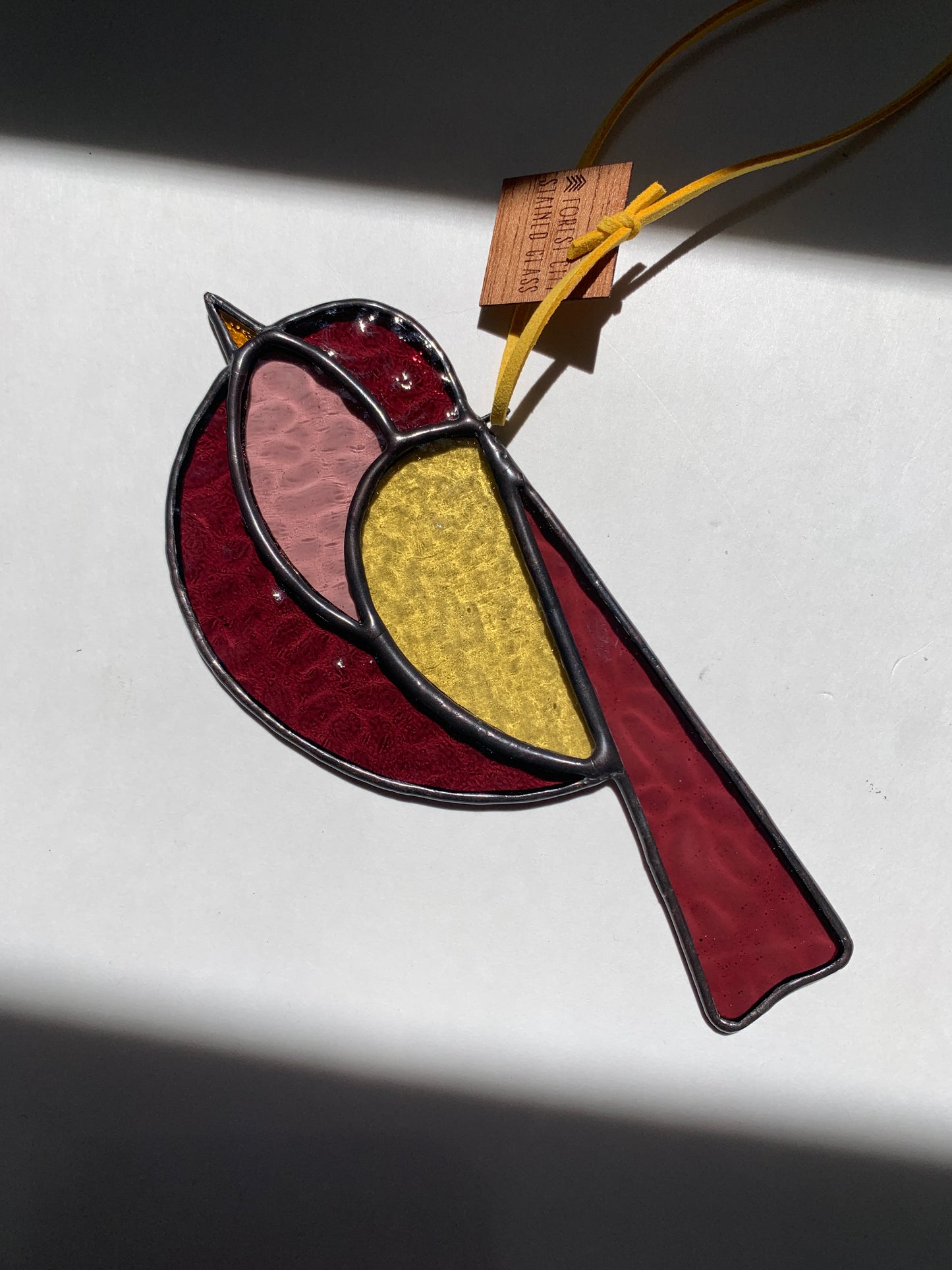 Colorful Bird Friend VII