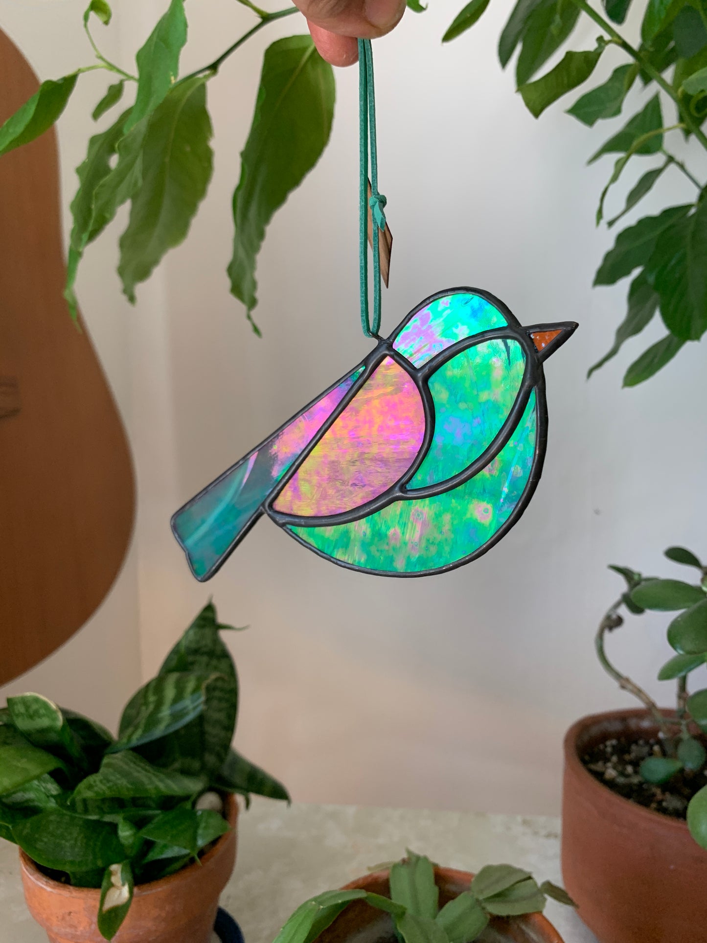 Colorful Bird Friend XX • Iridescent