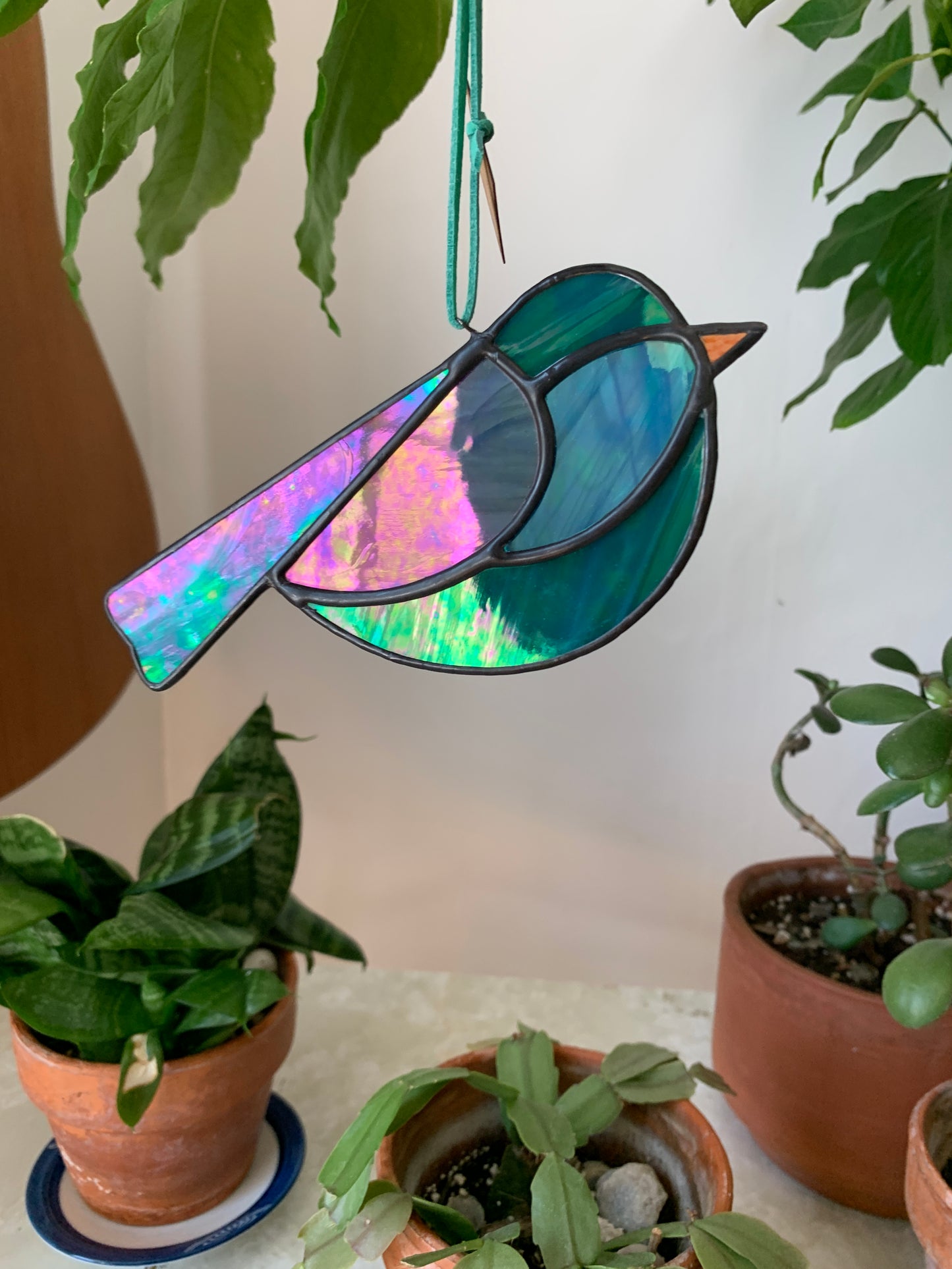 Colorful Bird Friend XX • Iridescent