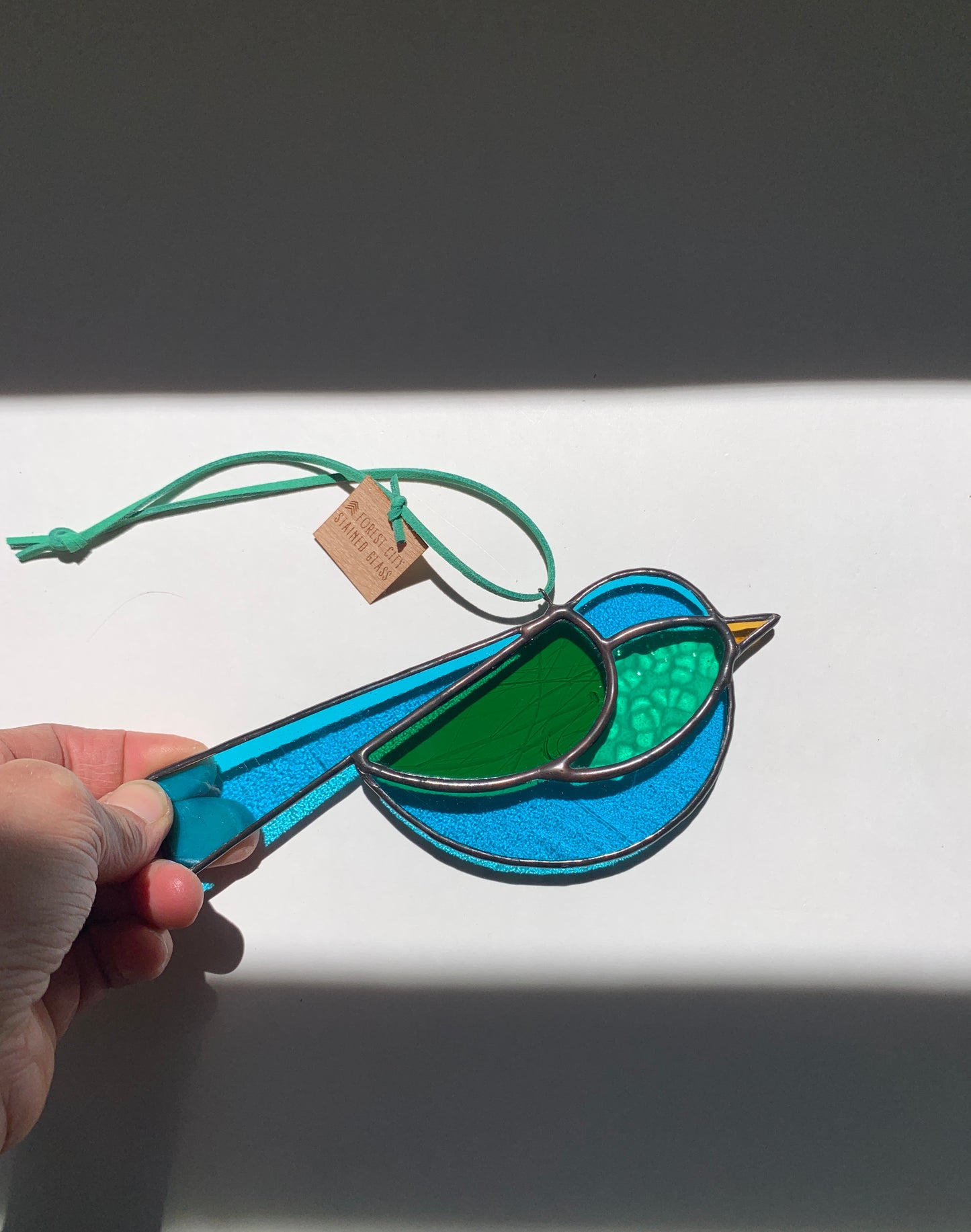 Colorful Bird Friend V
