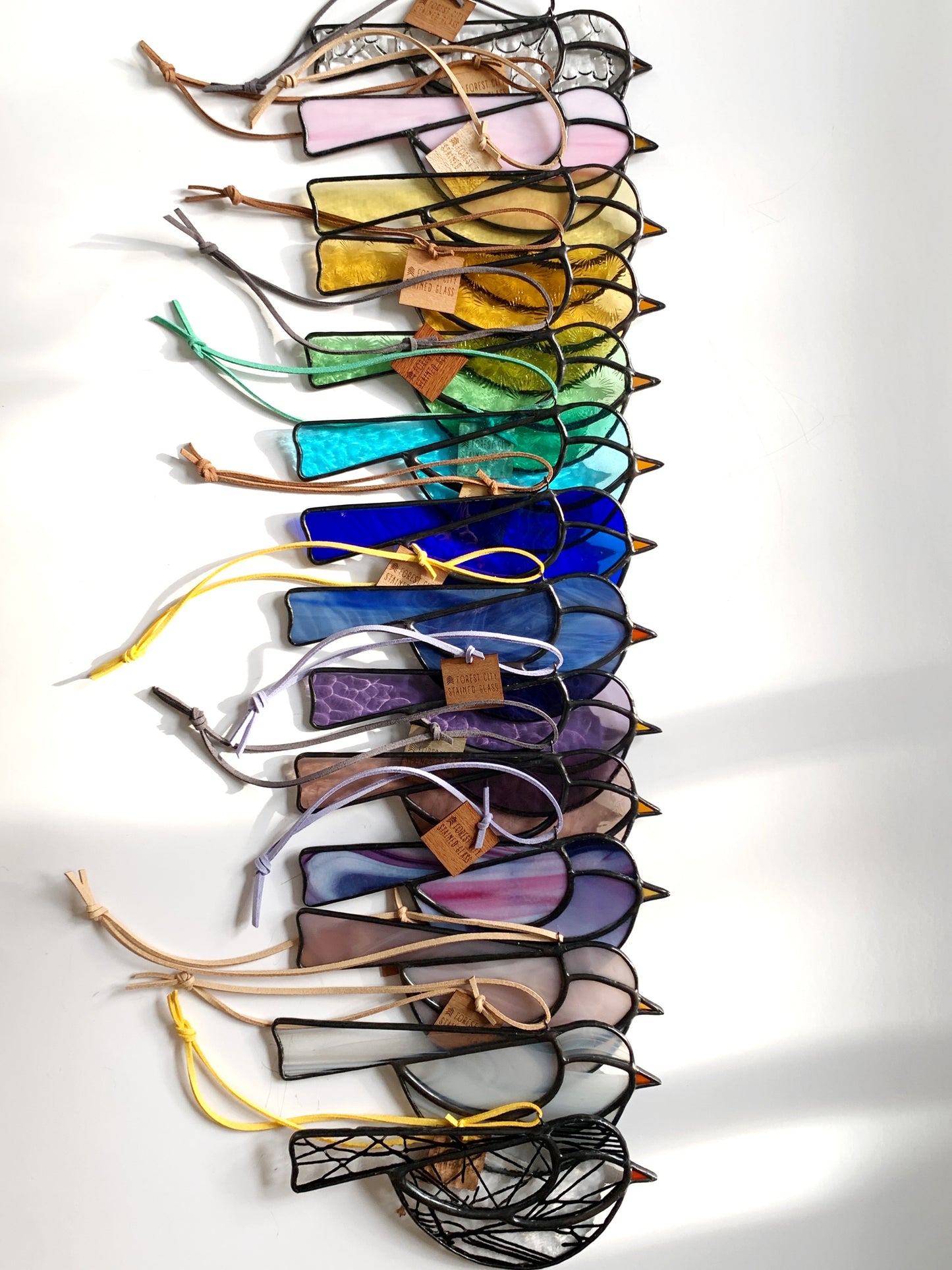 Colorful Bird Friend • Lines