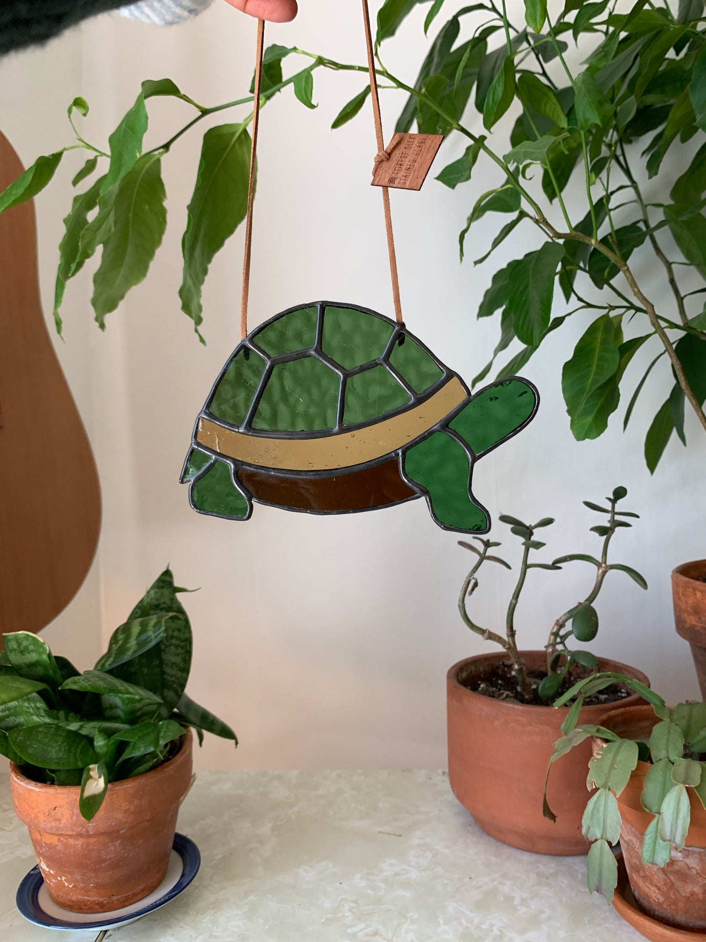 Turtle