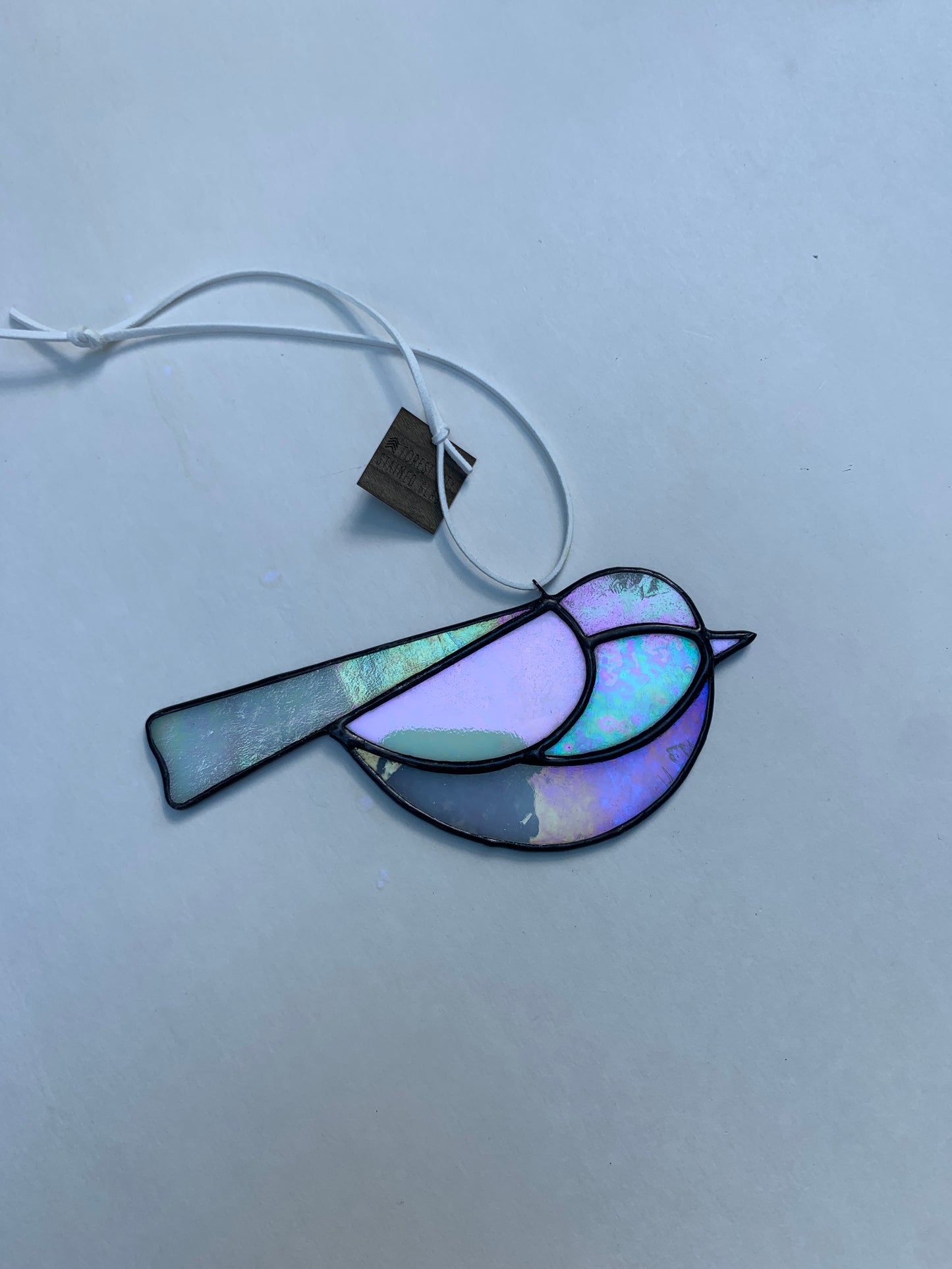 Colorful Bird Friend • Iridescent Whites