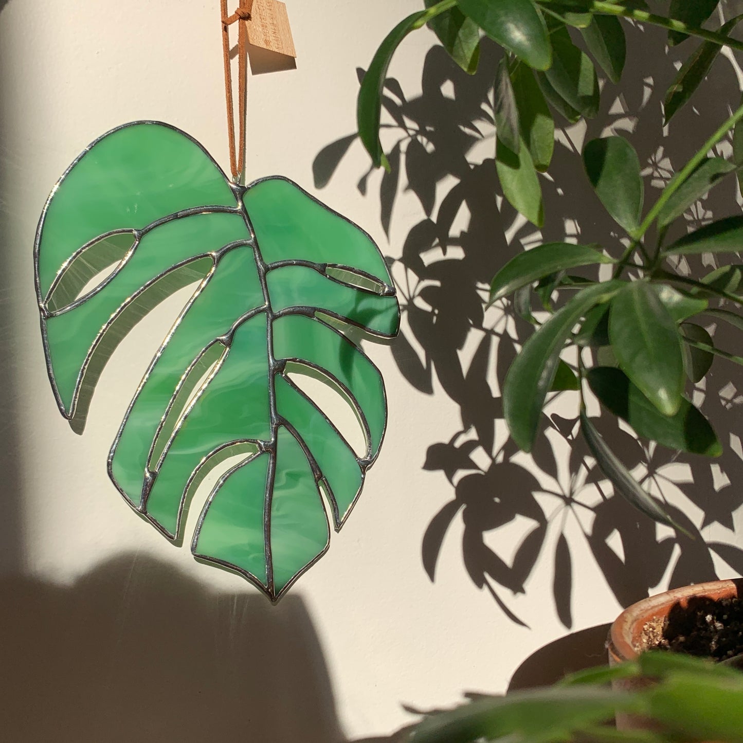 Monstera Leaf • Wispy Mint Green