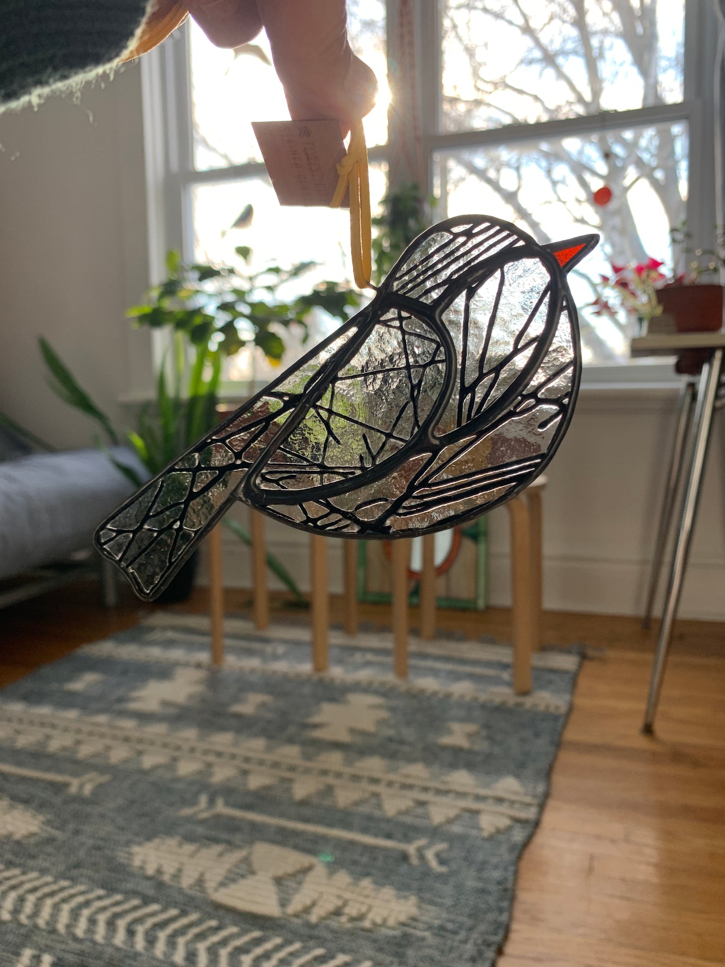 Colorful Bird Friend • Lines