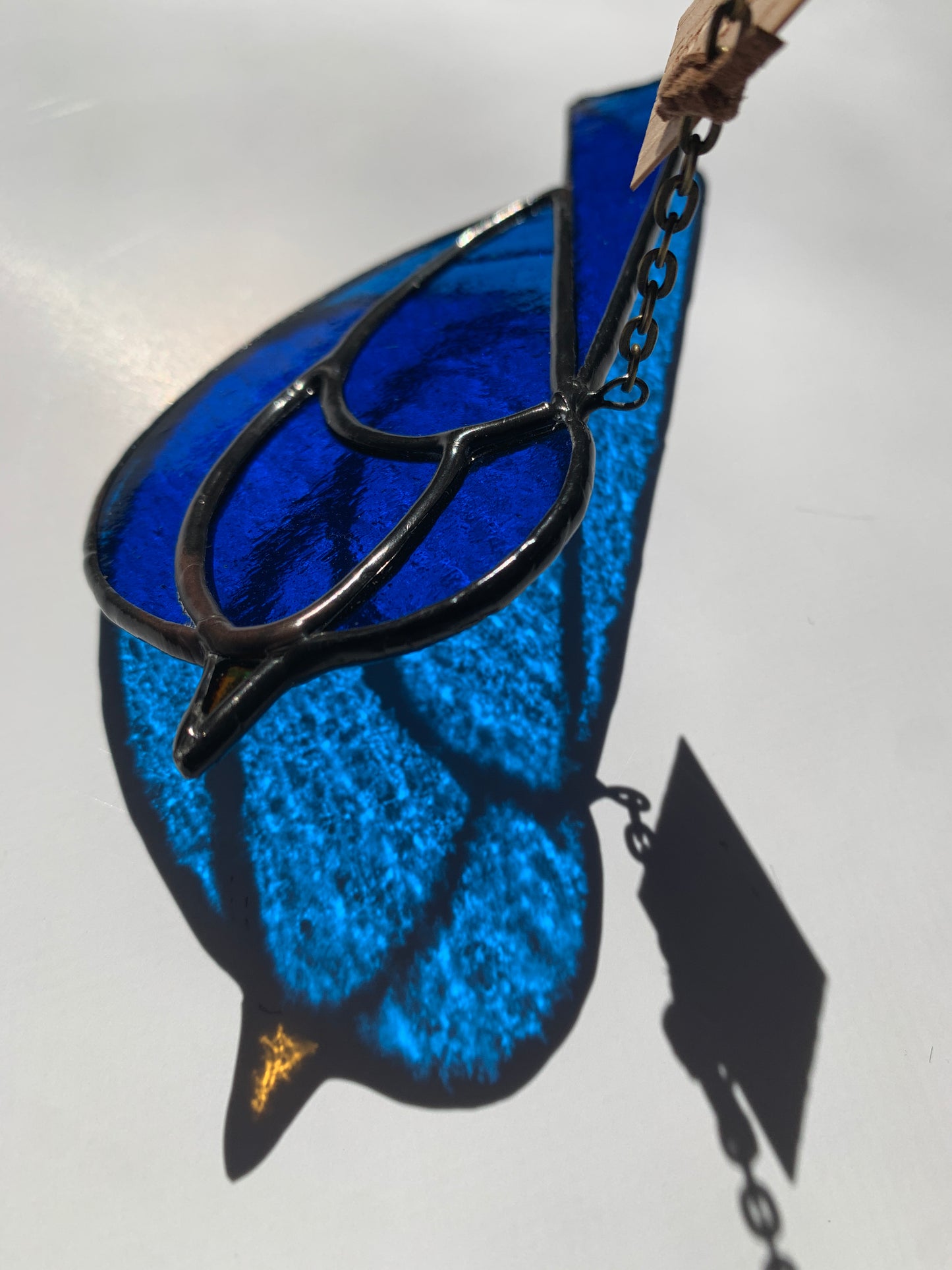 Colorful Bird Friend • Blue