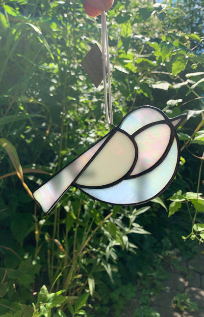 Colorful Bird Friend • Iridescent Whites