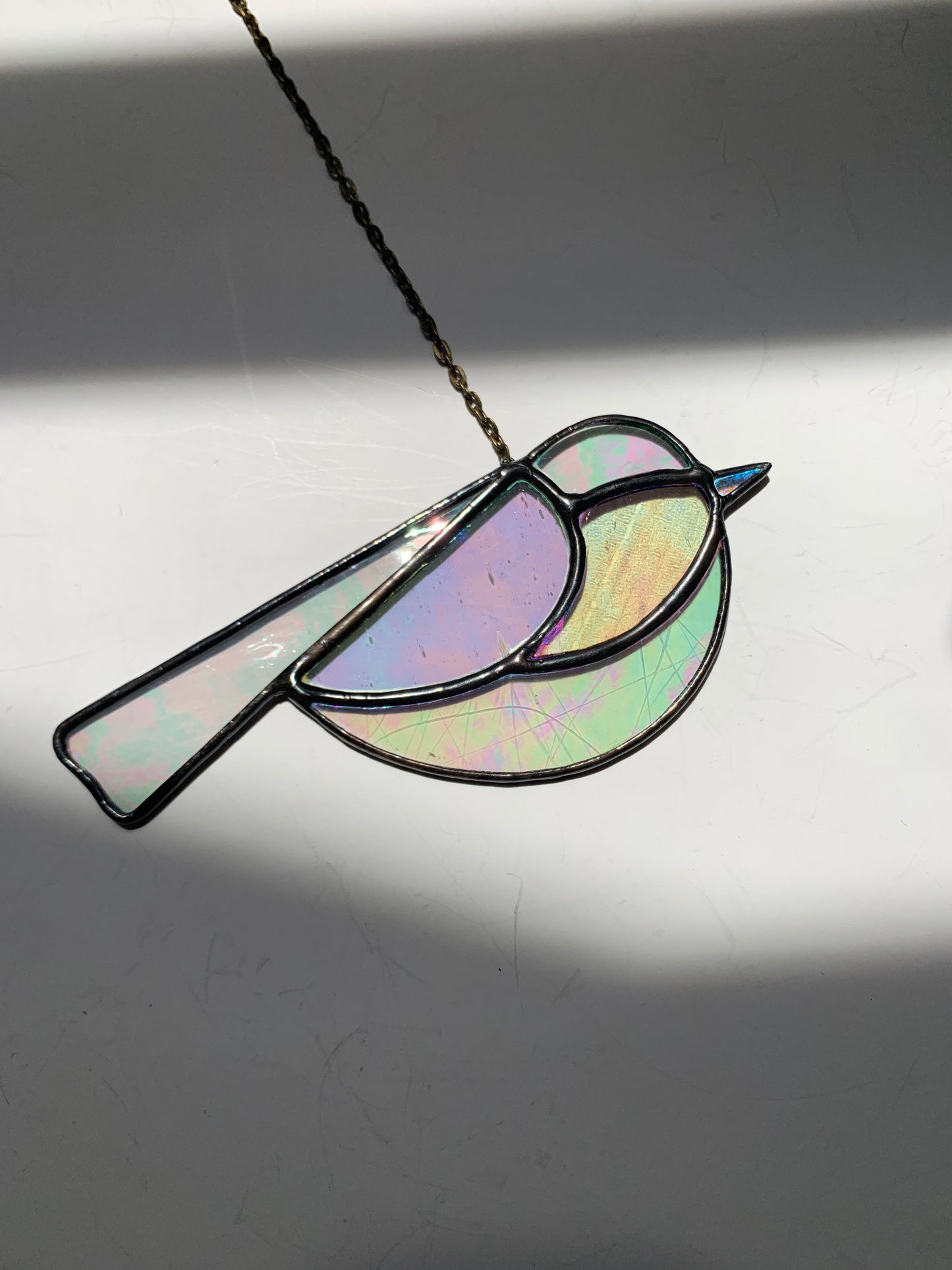 Colorful Bird Friend • Iridescent Clear