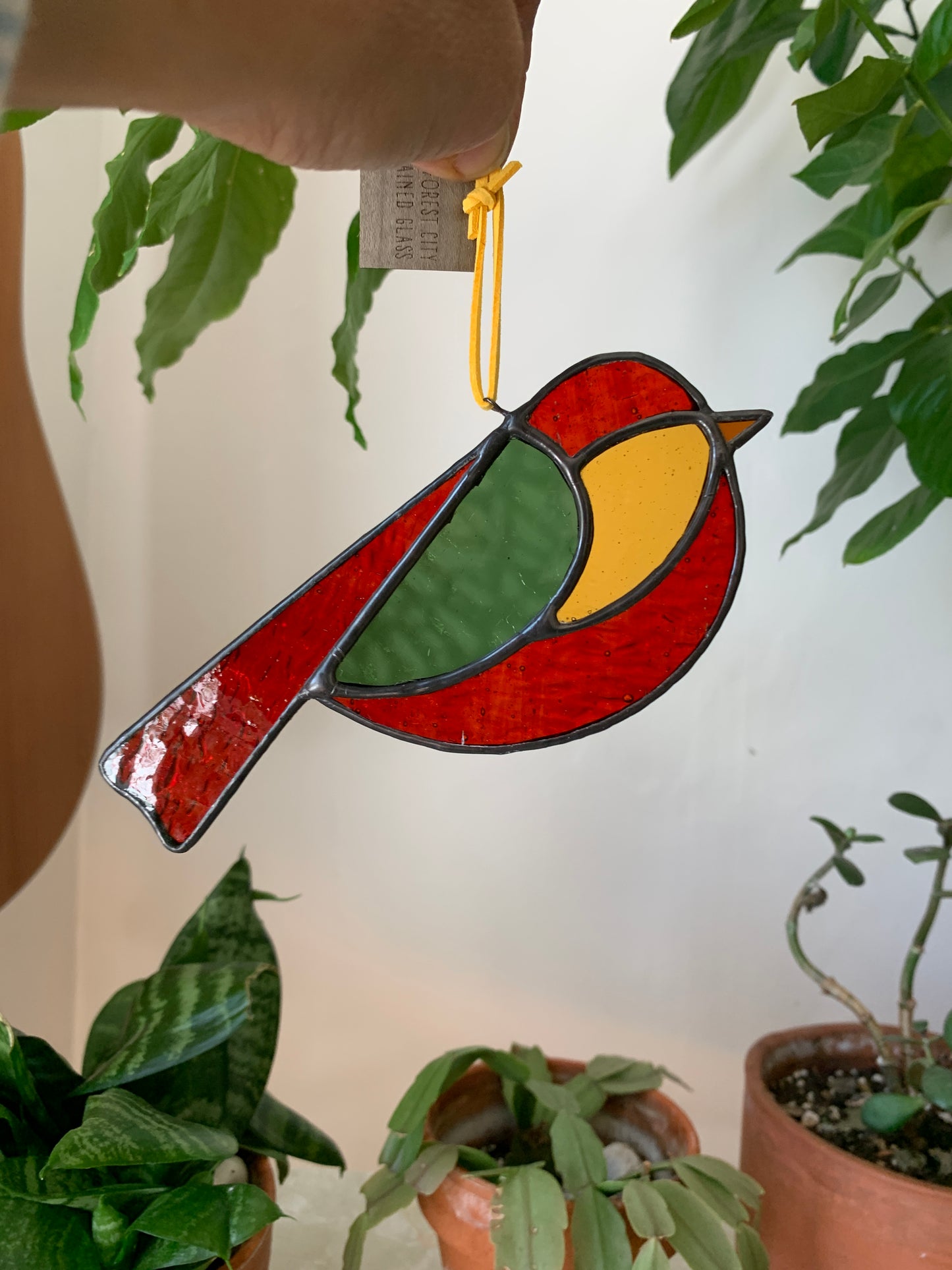 Colorful Bird Friend XII