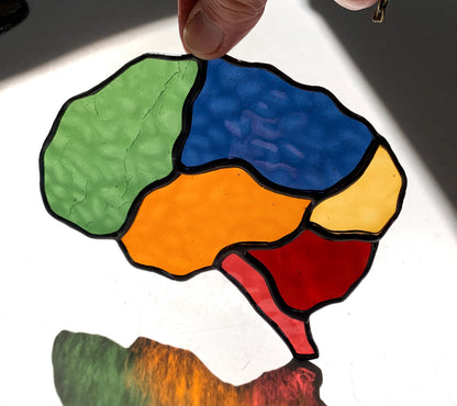 Human Brain (better than AI)