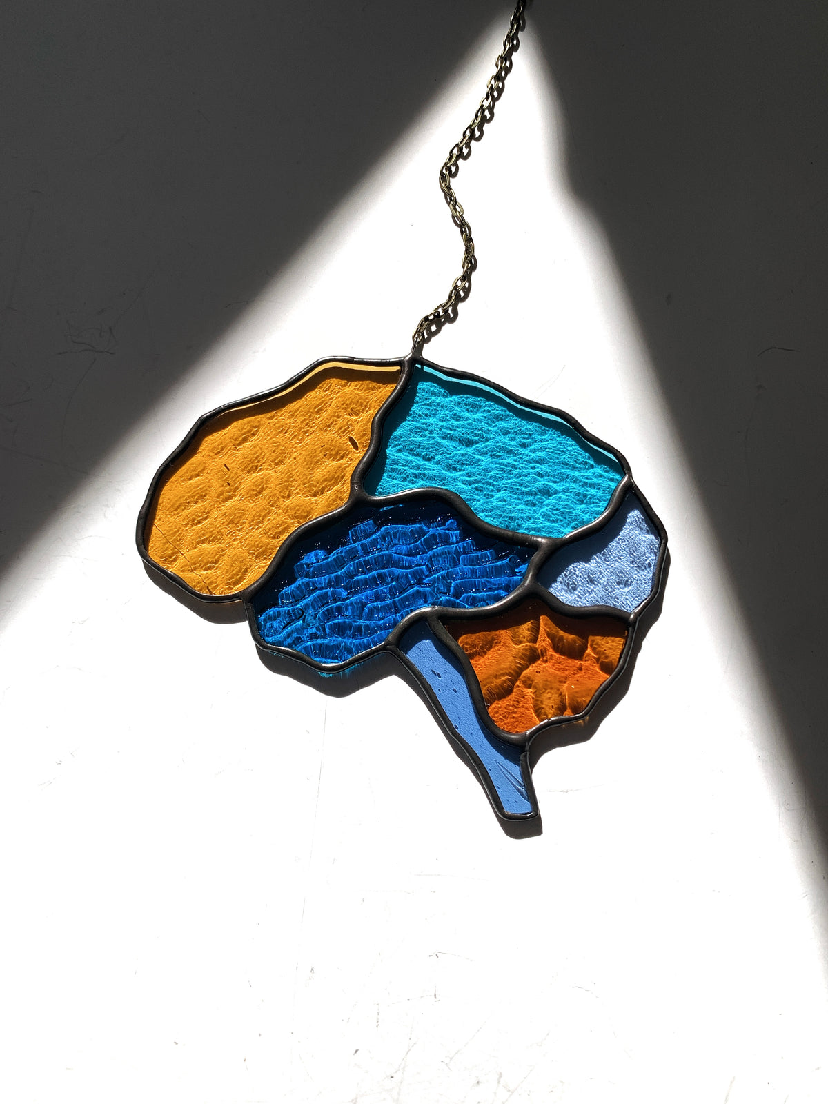 Human Brain (better than AI) ••••