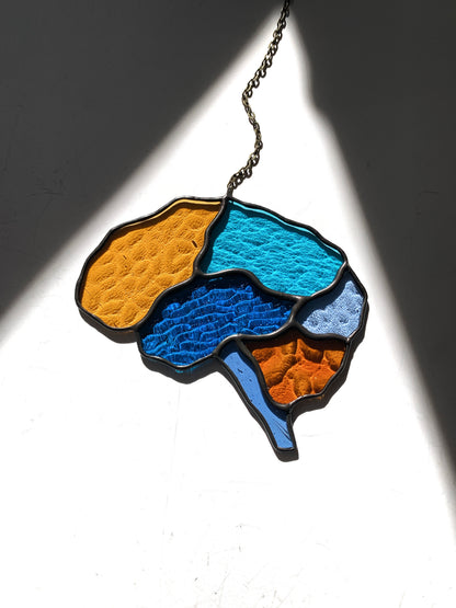 Human Brain (better than AI) ••••