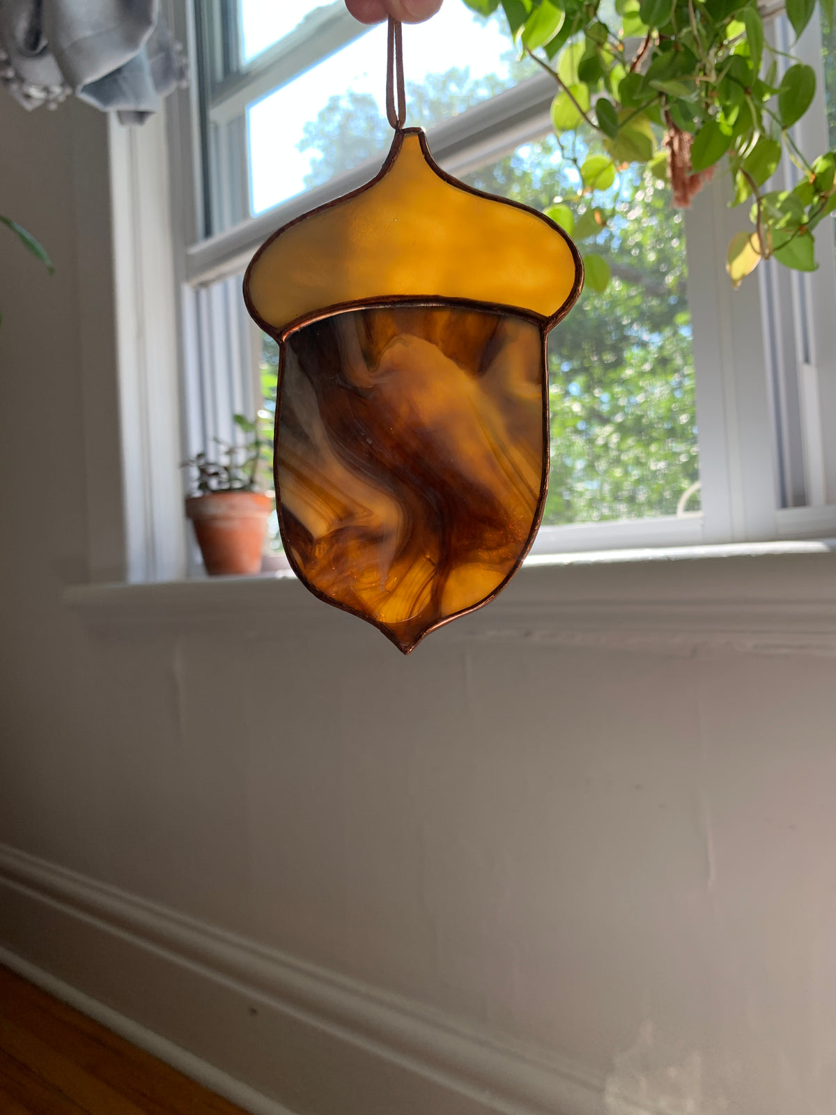 Acorn