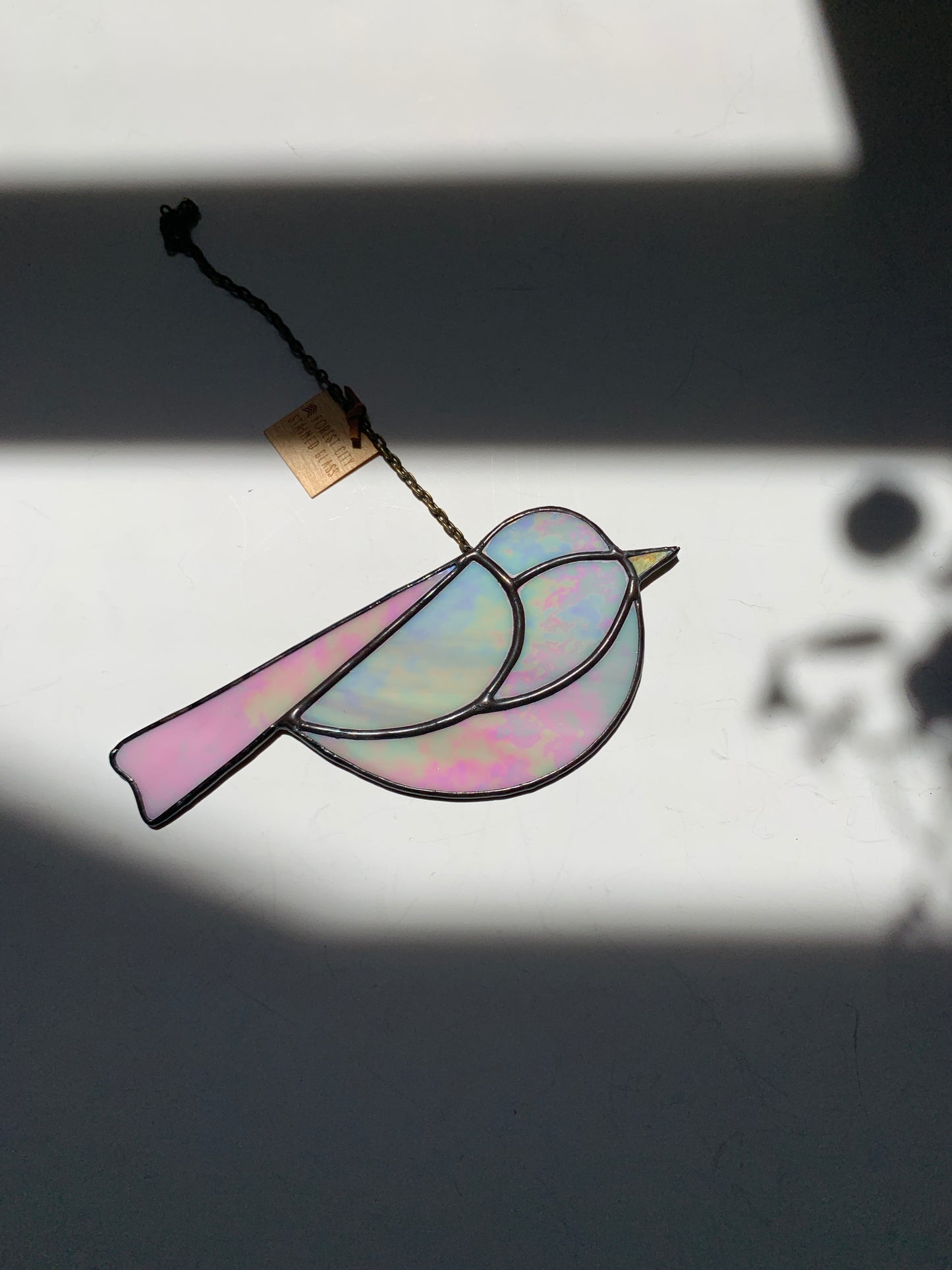 Colorful Bird Friend • Iridescent Pink
