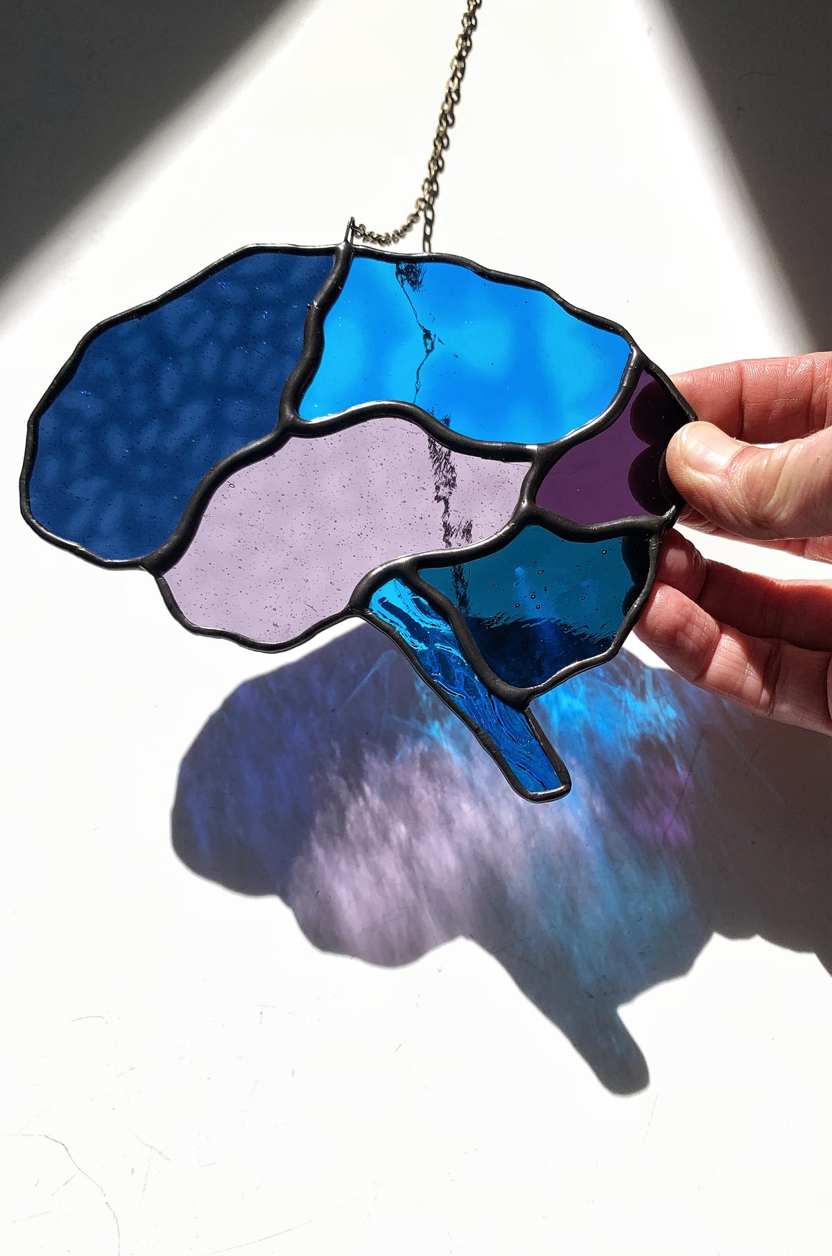 Human Brain (better than AI) •