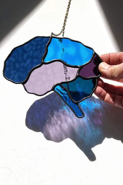 Human Brain (better than AI) •