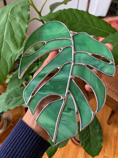 Monstera Leaf  • Wispy Mint Green