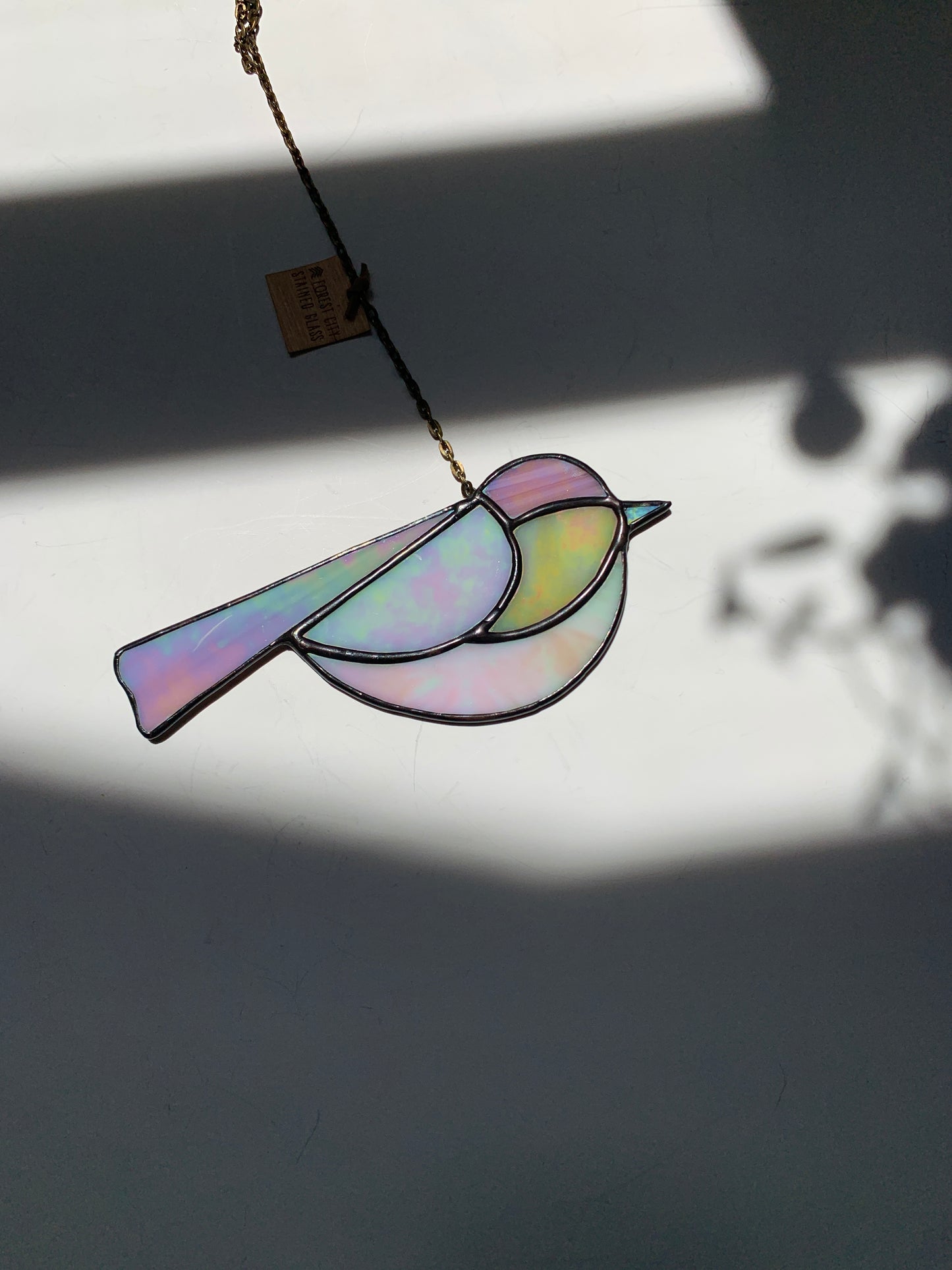 Colorful Bird Friend • Iridescent Neutrals II