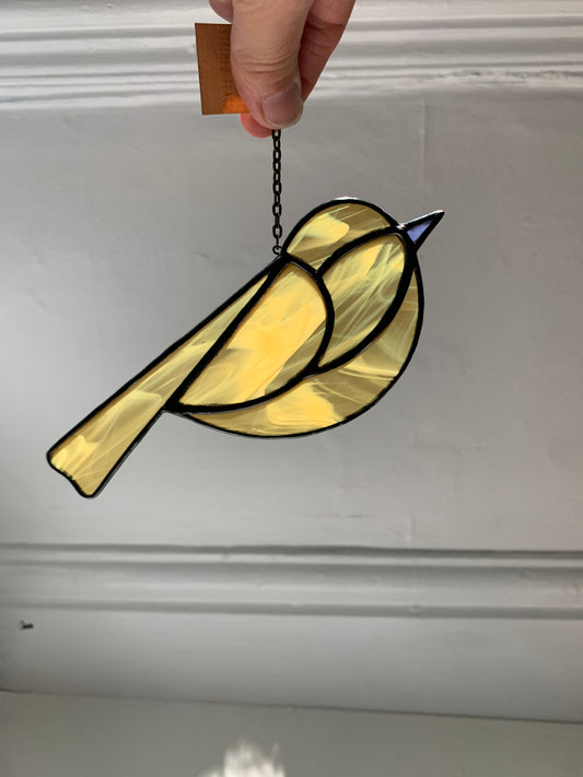Colorful Bird Friend • Wispy Honey