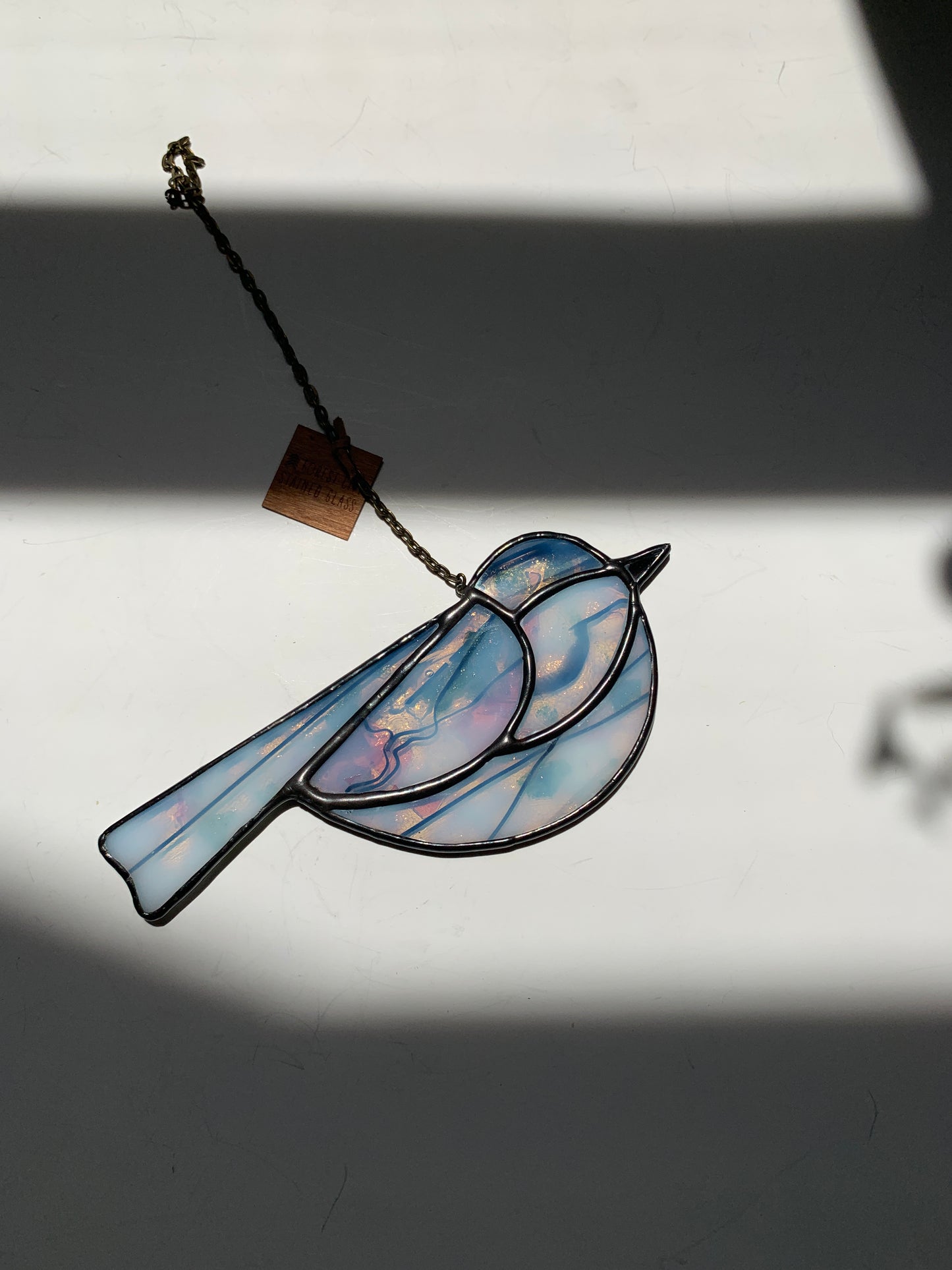 Colorful Bird Friend • Confetti I
