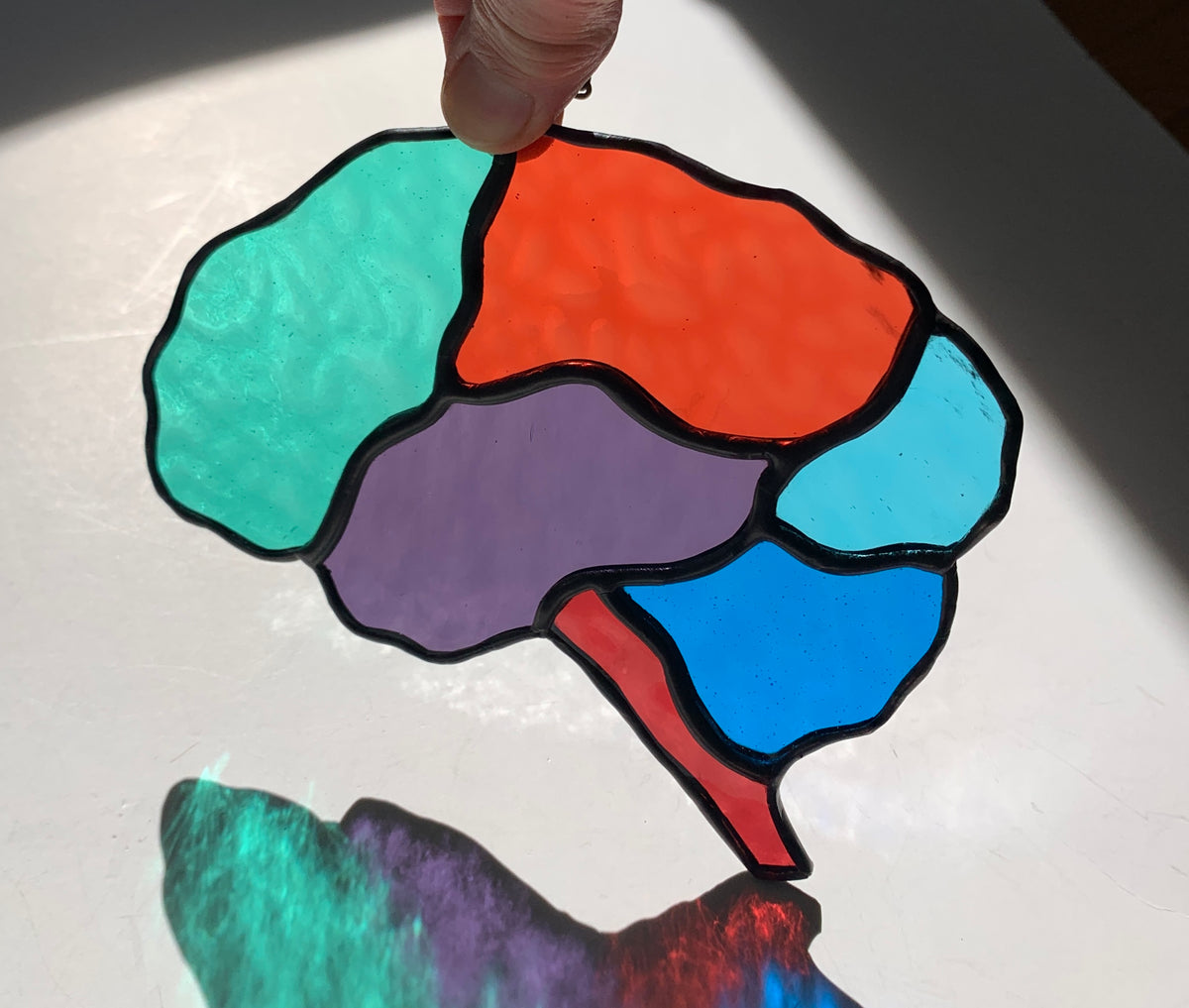 Human Brain (better than AI) ••