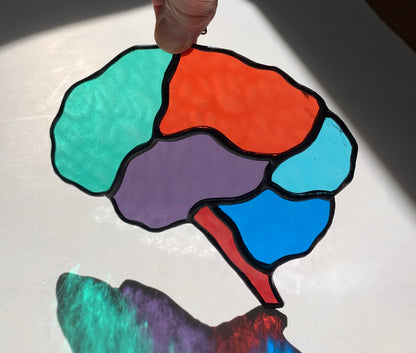Human Brain (better than AI) ••