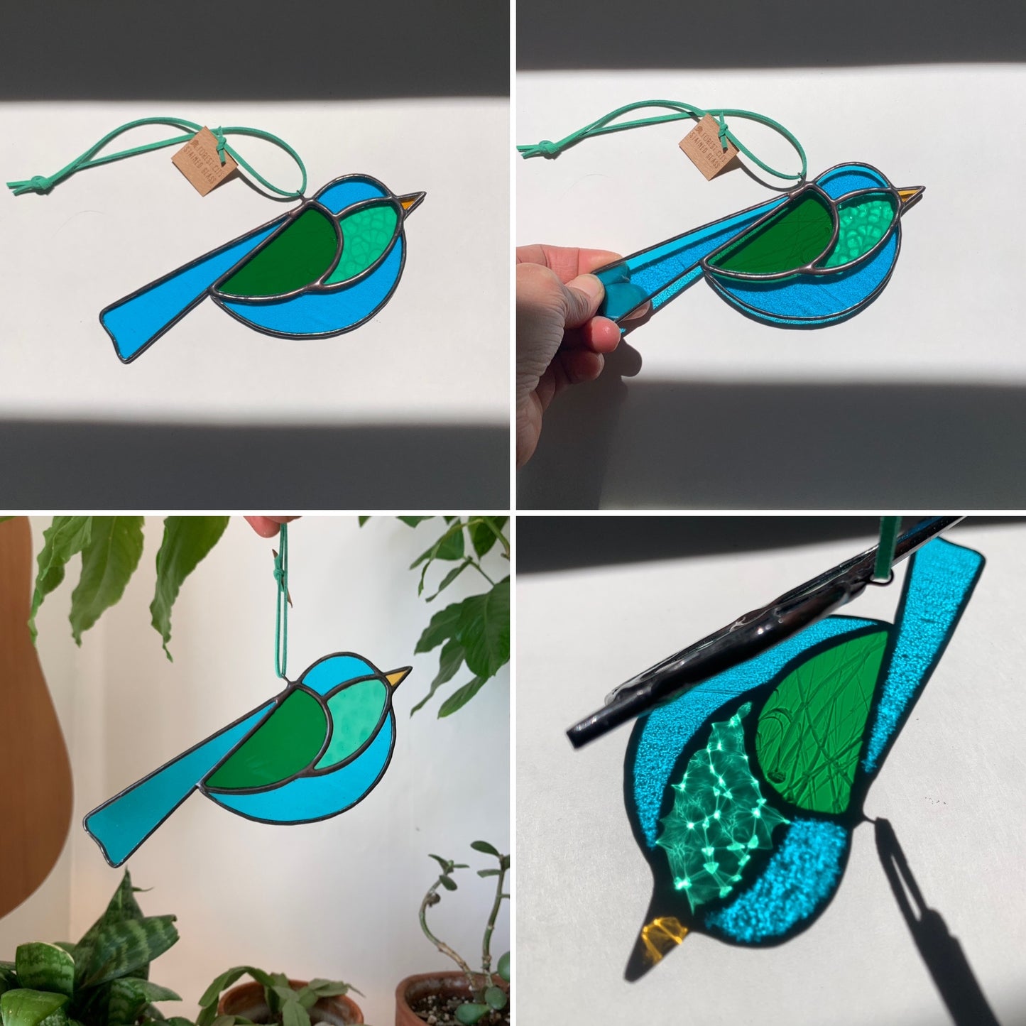 Colorful Bird Friend V