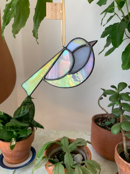 Colorful Bird Friend XVII • Iridescent
