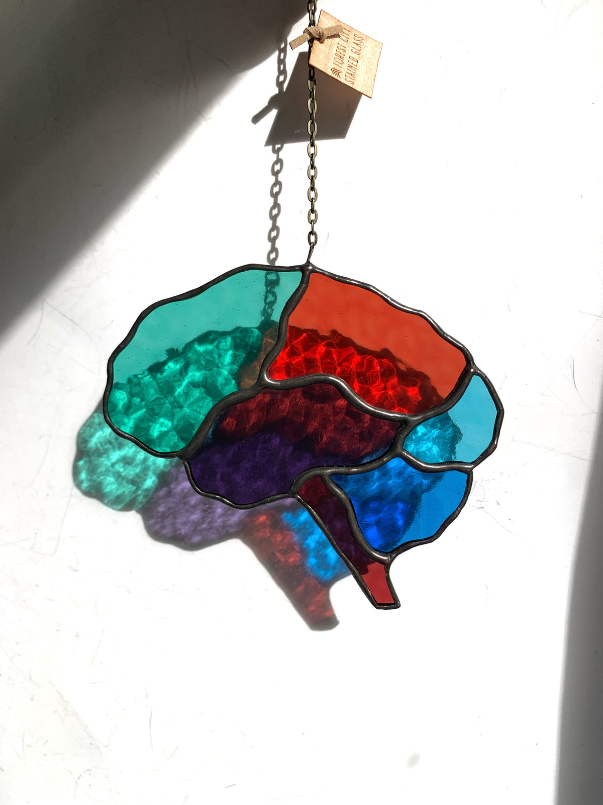 Human Brain (better than AI) ••