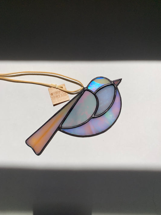 Colorful Bird Friend XVII • Iridescent