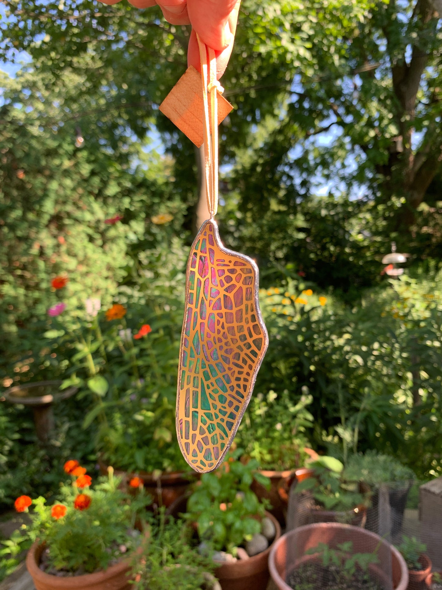 Dragonfly Hindwing • Iridescent Wispy Teal