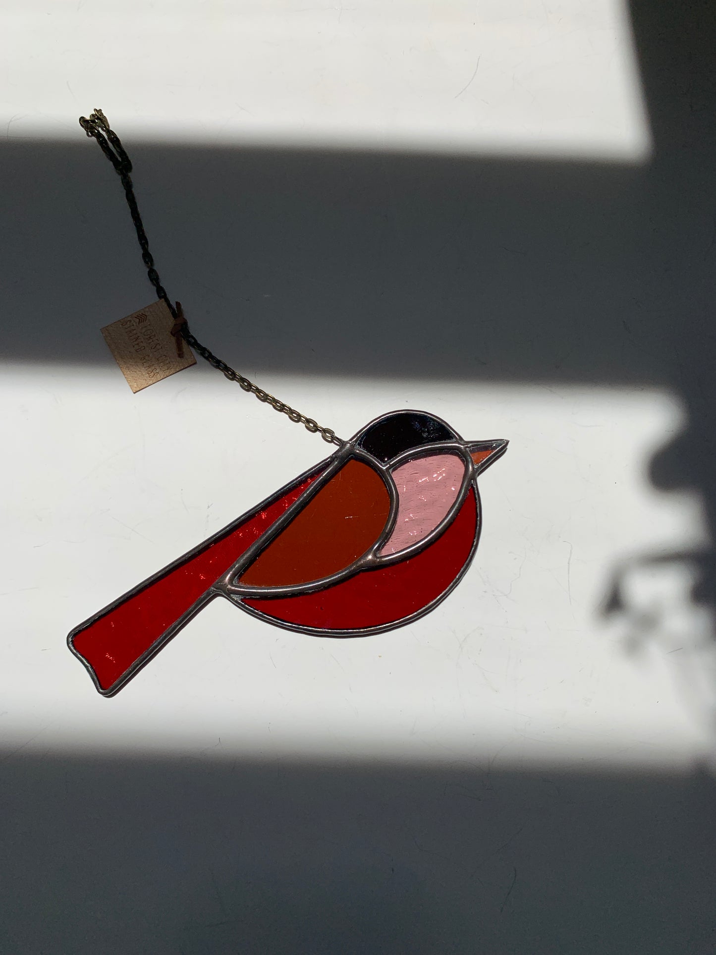 Colorful Bird Friend • Pink + Amber Orange