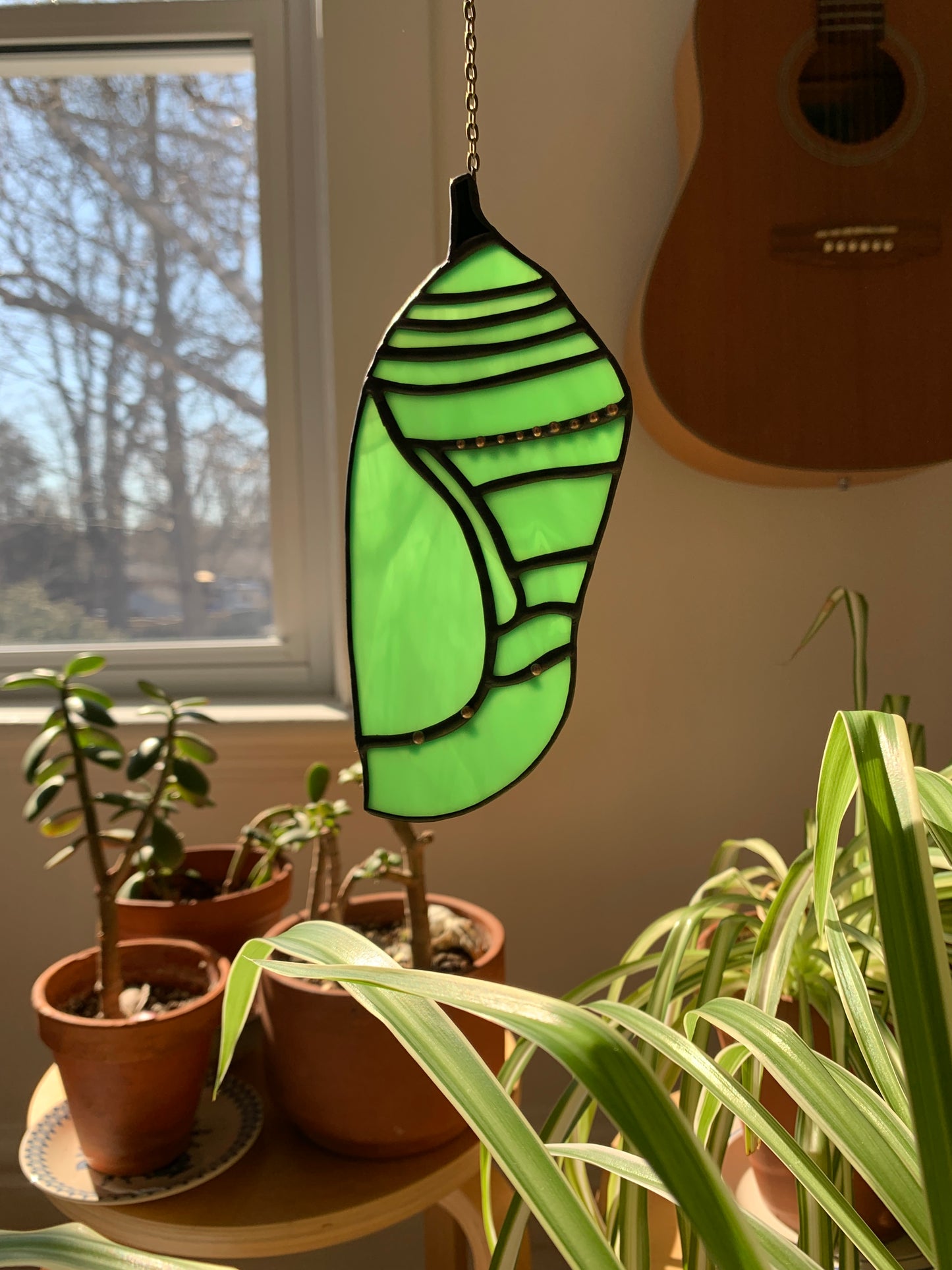 Monarch Chrysalis