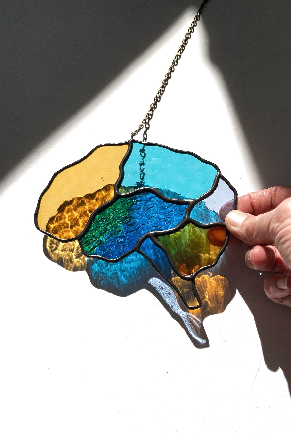 Human Brain (better than AI) ••••