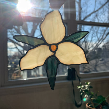 Trillium Wildflower • Beige/Amber